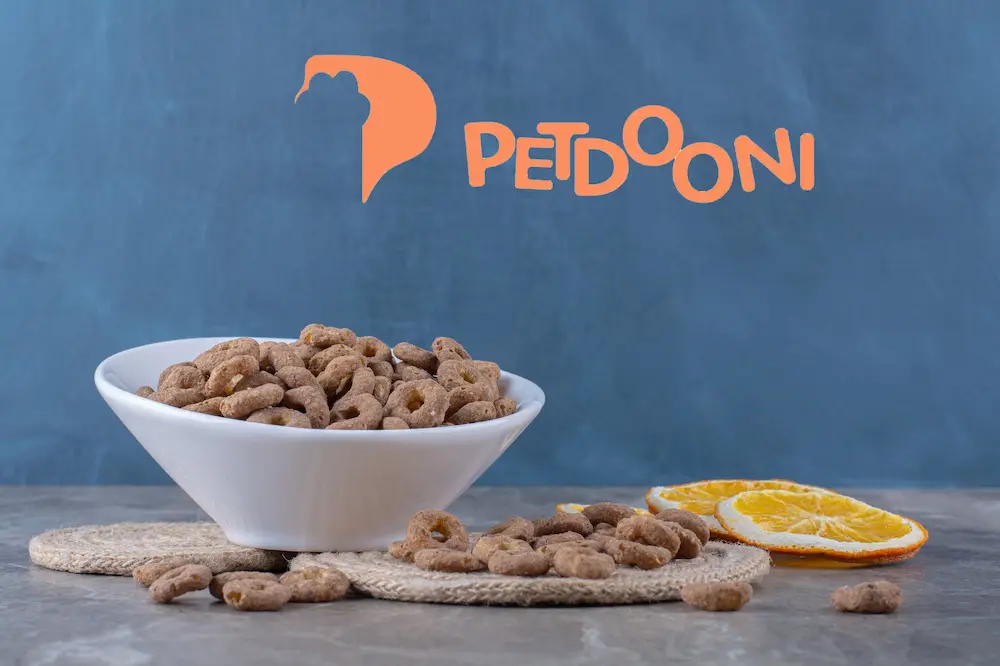 آیا غذای خانگی برای گربه خوبه یا نه؟ | معرفی غذاهای مفید برای گربه در پت شاپ آنلاین پتدونی 1404